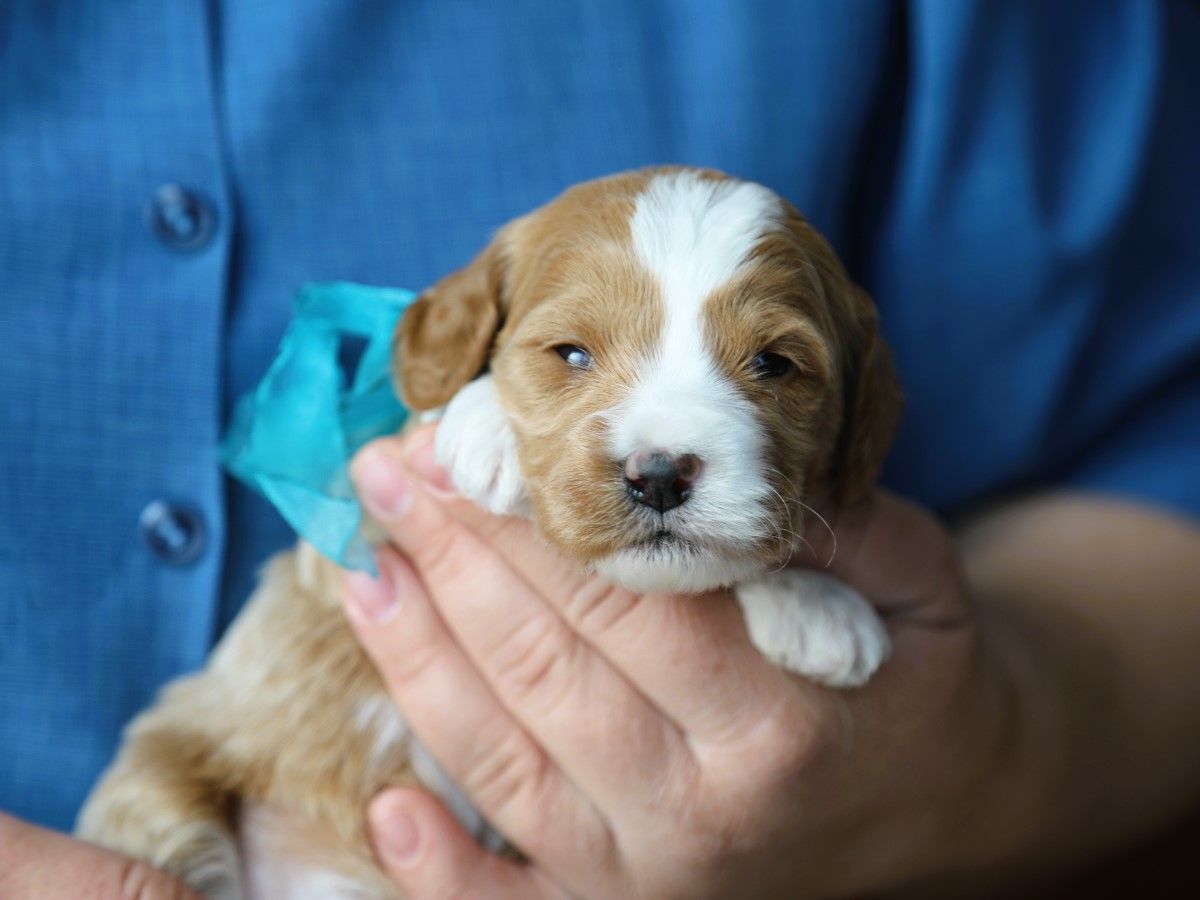 milo (3).JPG