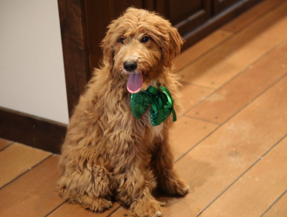 Doug (5).JPG