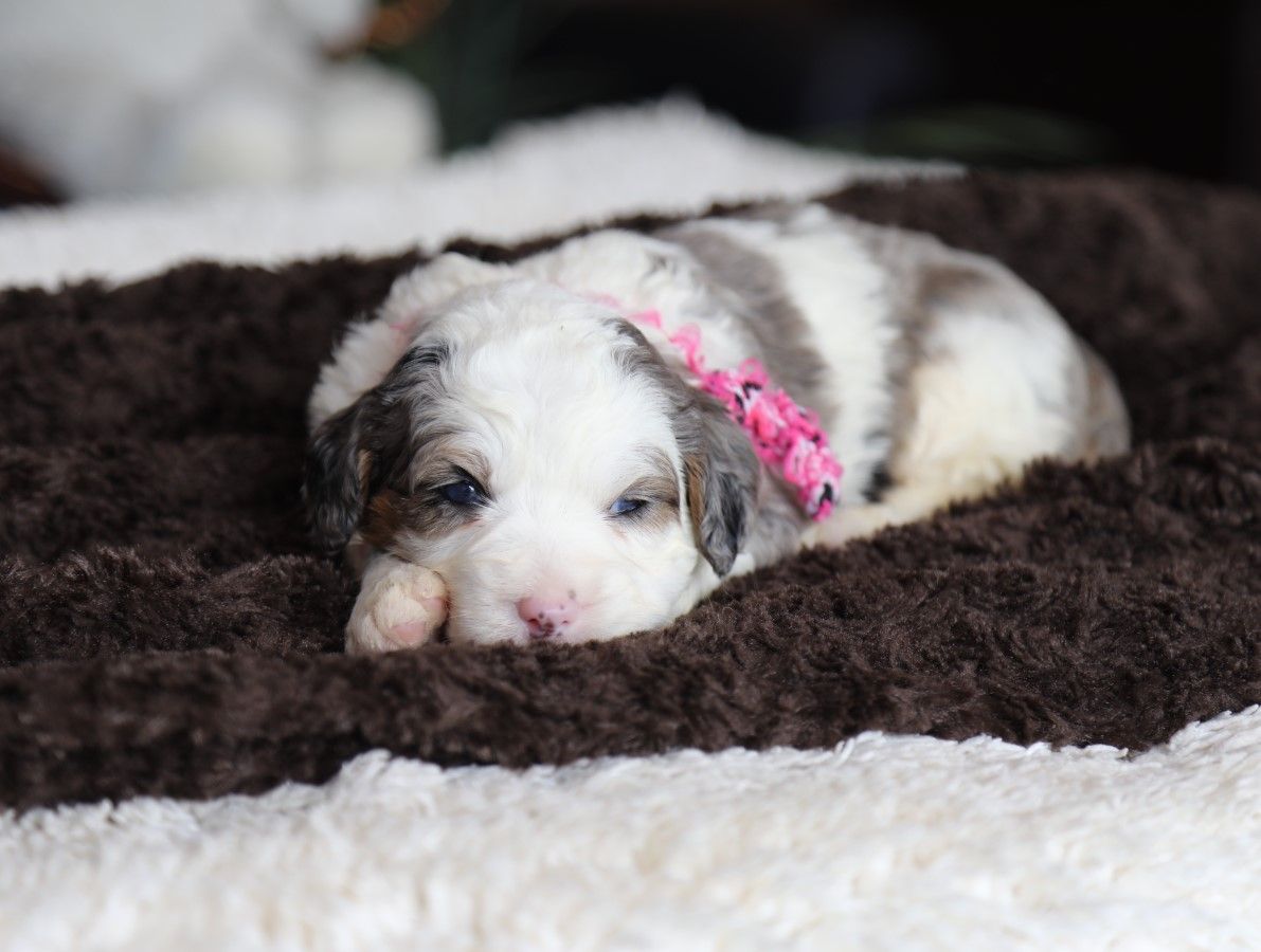 SKye (4).JPG
