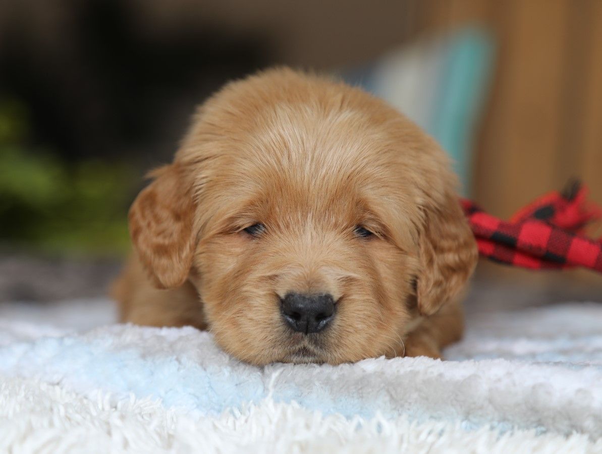 billy (3).JPG