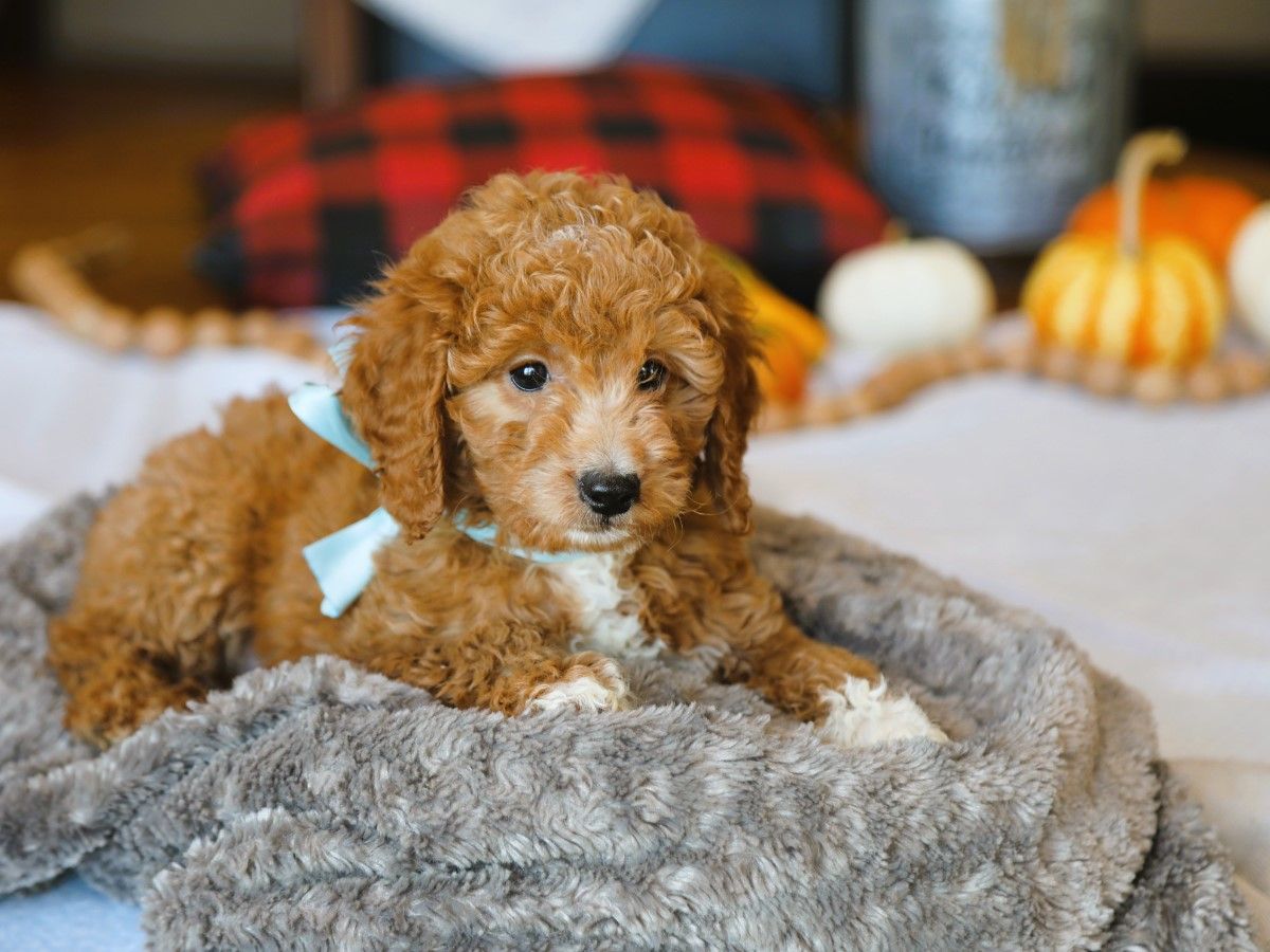 finnegan (3).JPG