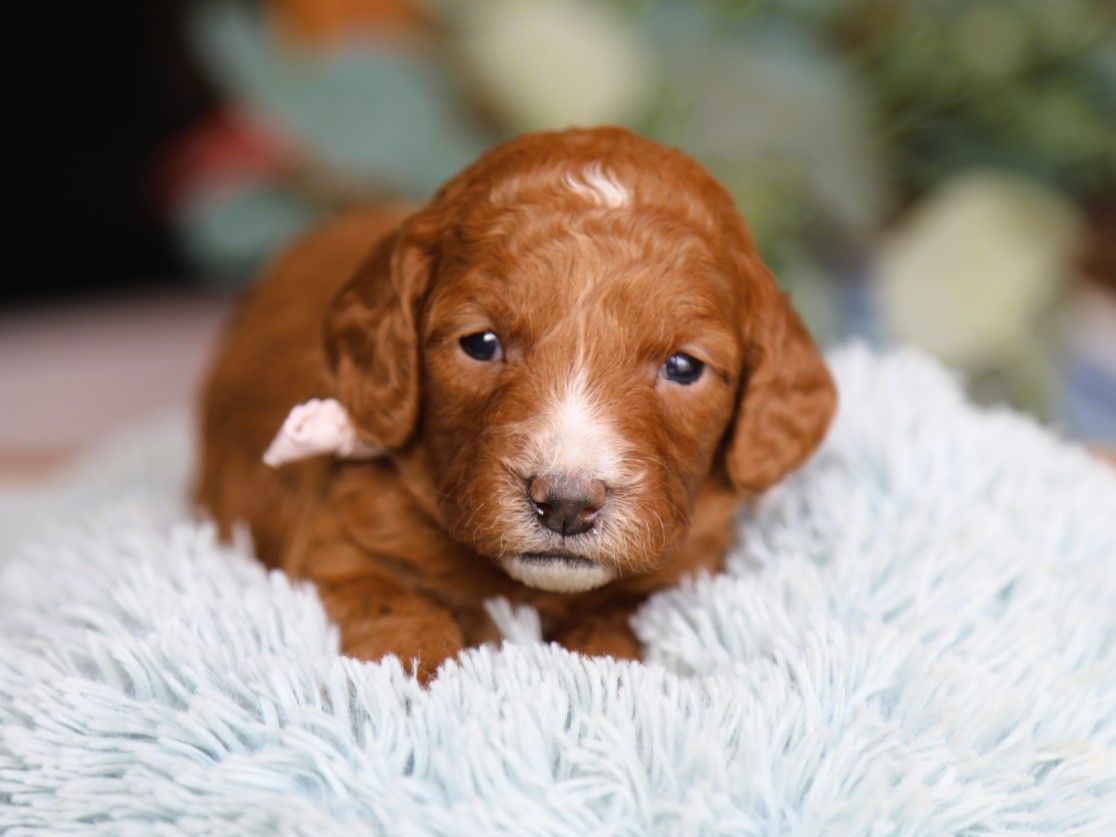 Elly • click to meet