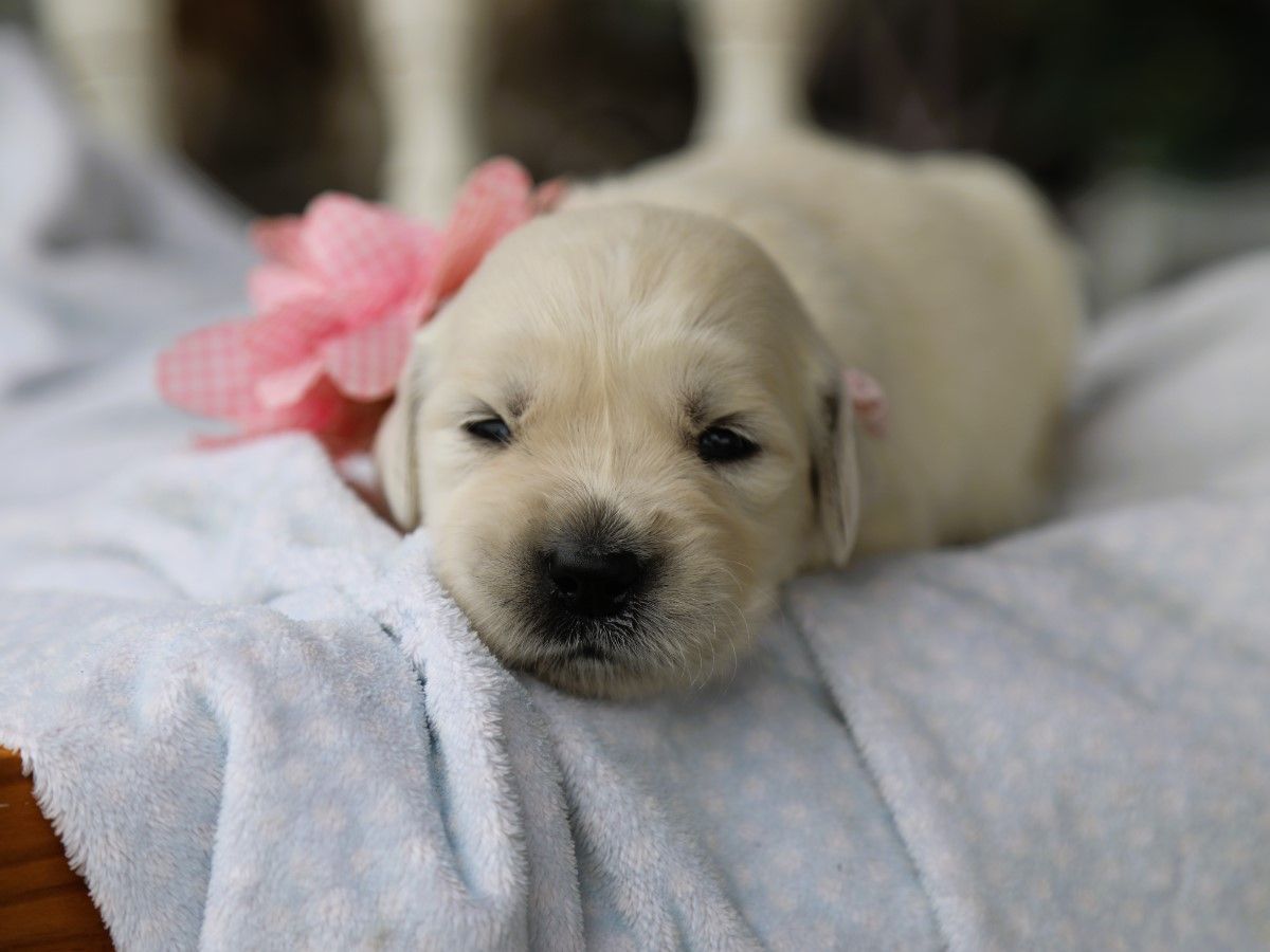 Maggie (2).JPG
