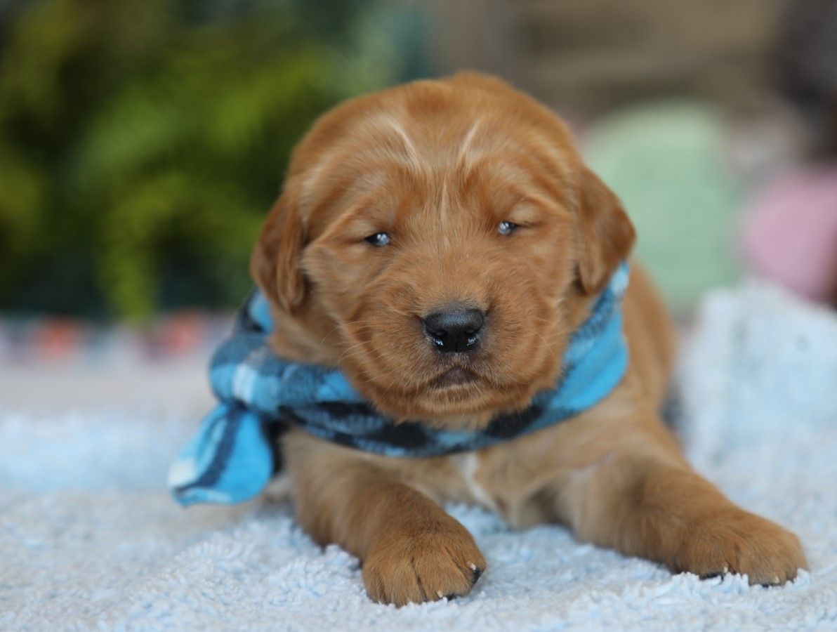 Erik - Click to meet