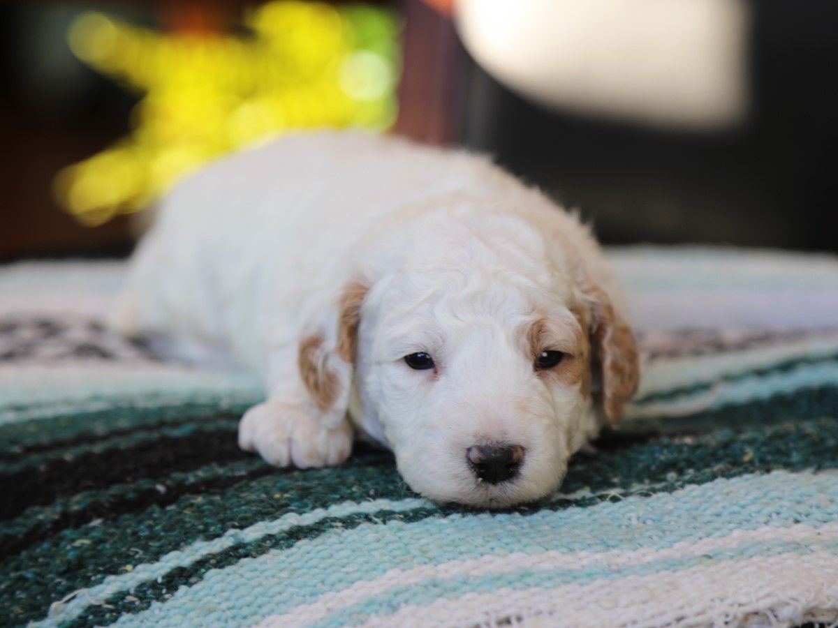 easton (2).JPG