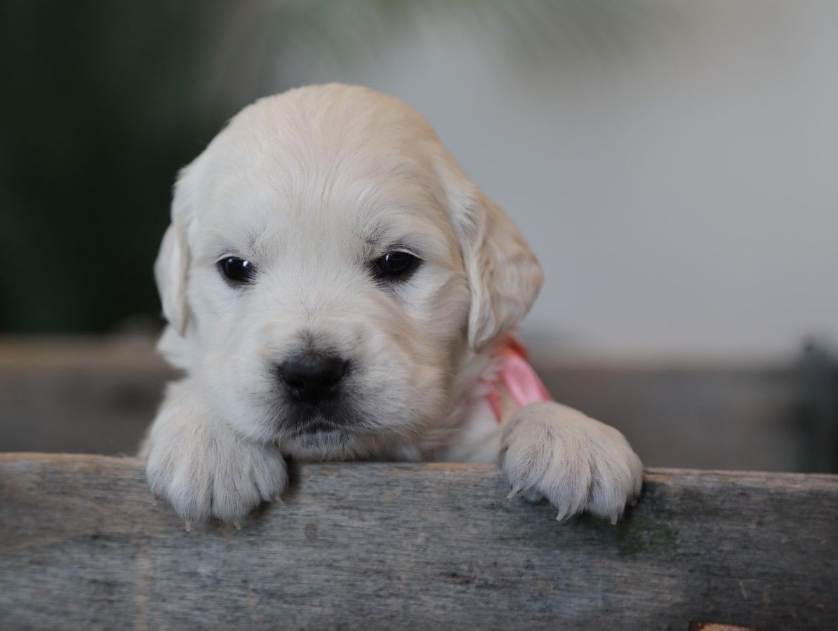 Heidi (14).JPG