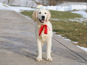 Florence • Click to meet