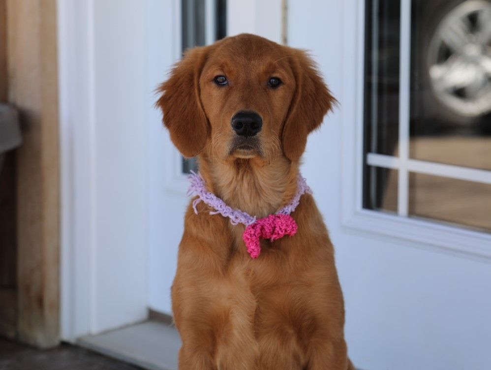 Lucia - Click to meet