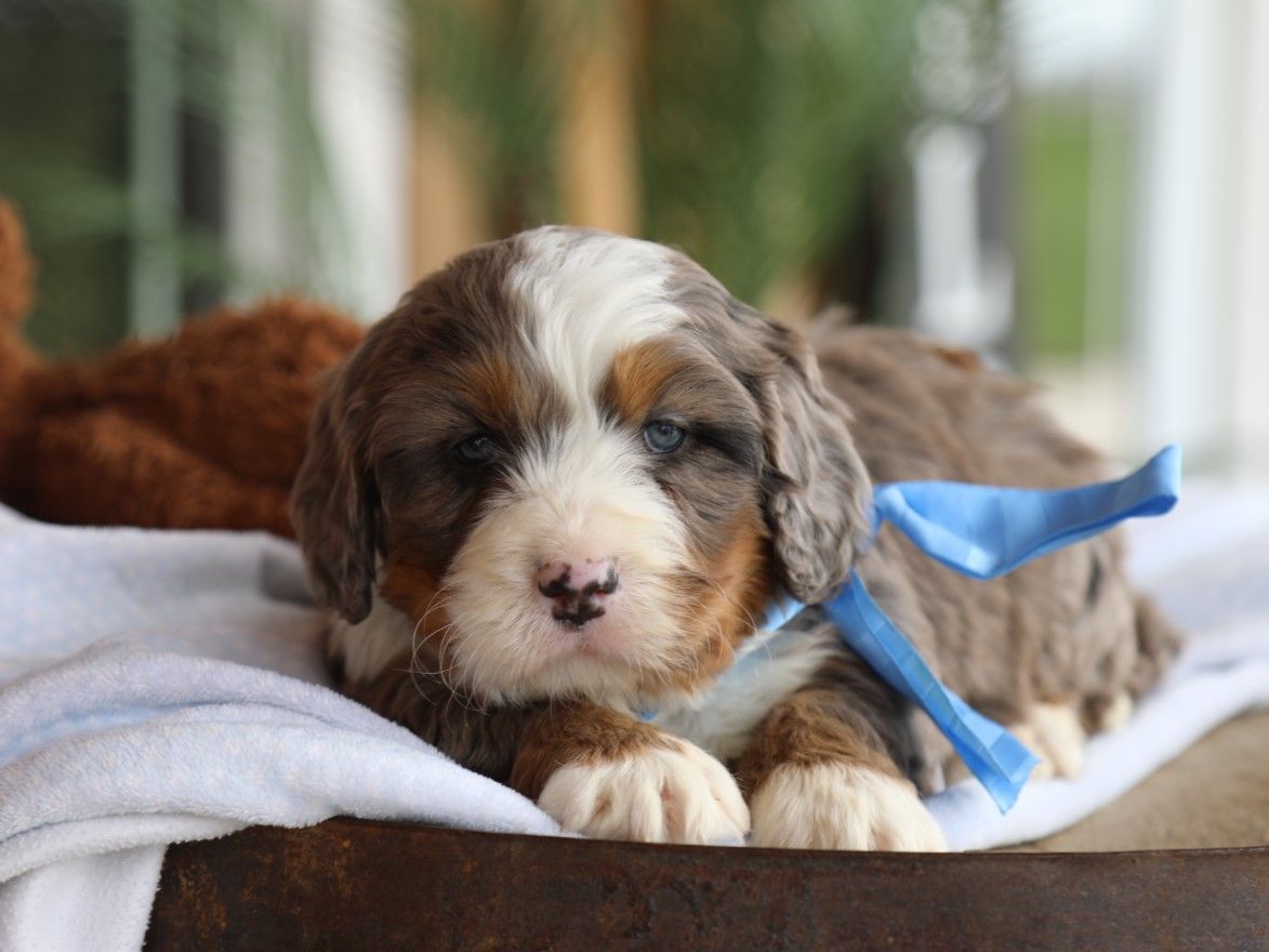 finn (3).JPG