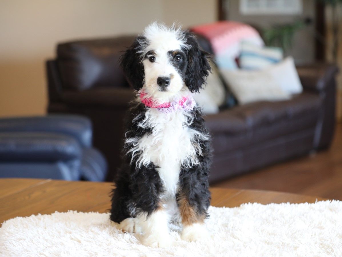  Helen - click to meet