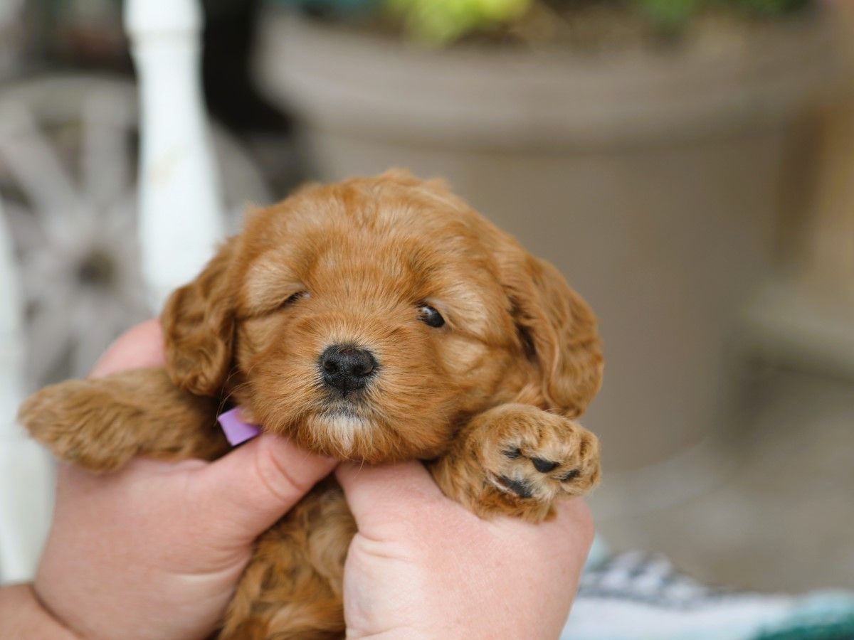 winnie (2).JPG