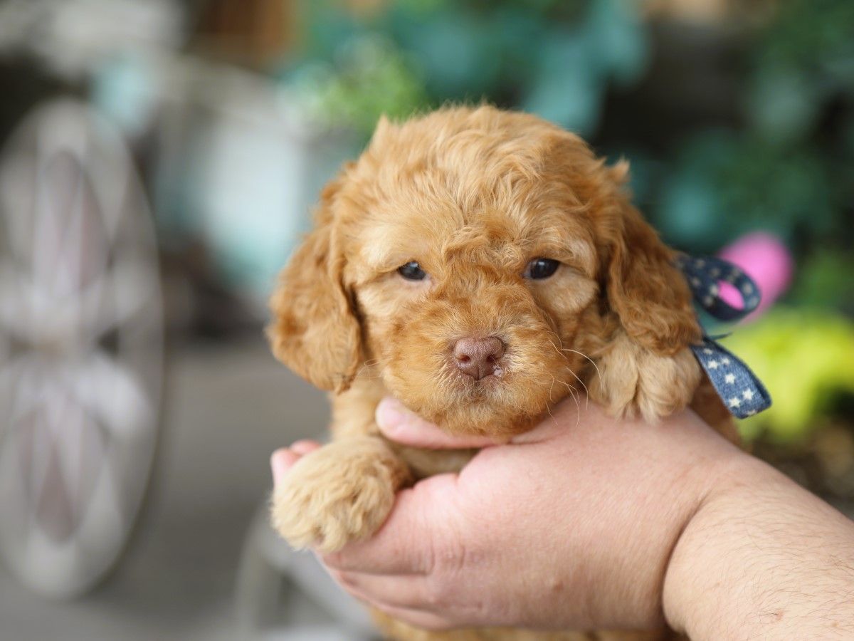 tucker (3).JPG