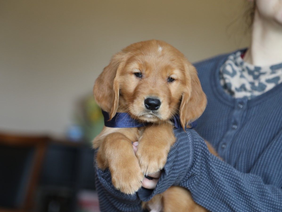 Hudson (3).JPG