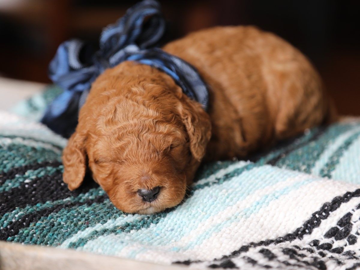 carter (3).JPG
