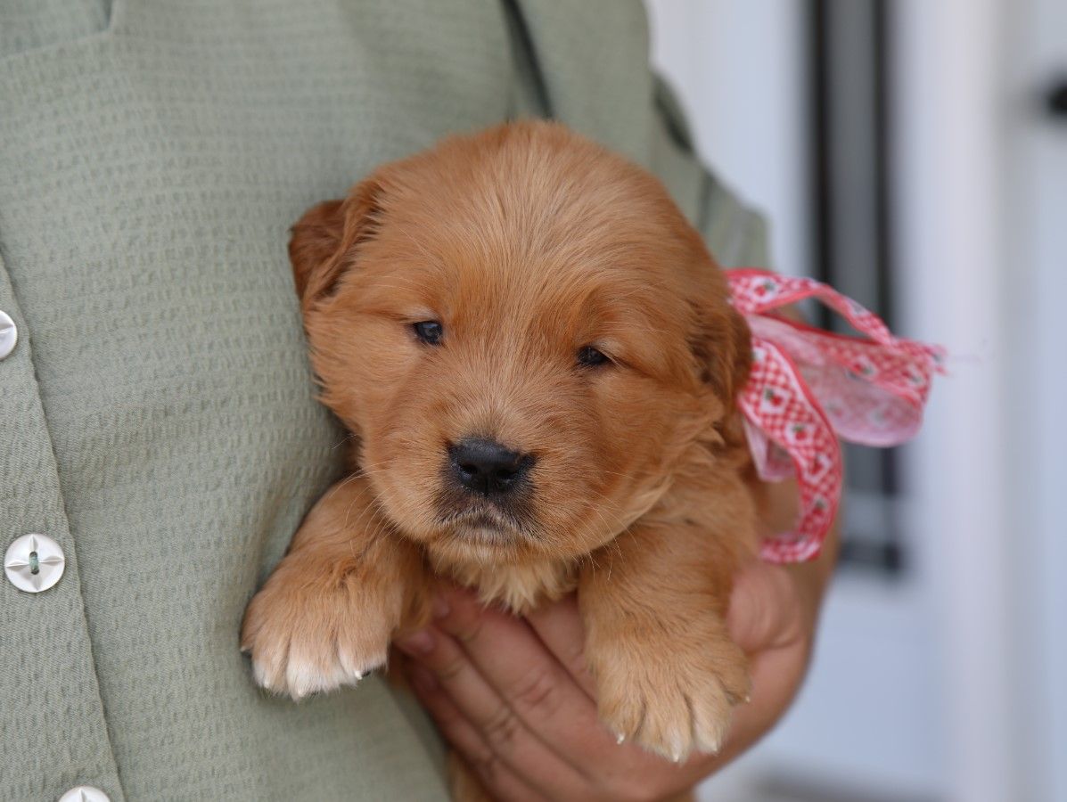 Lilly • Click to meet
