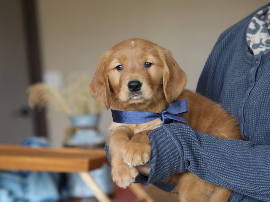 Hudson (1).JPG