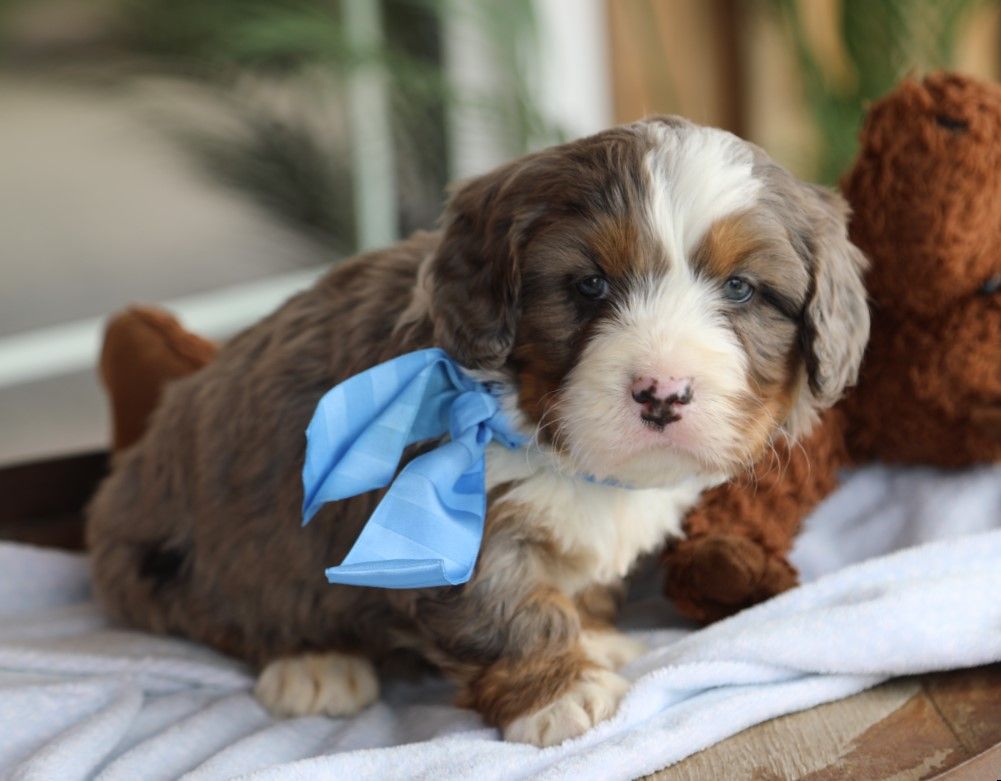 finn (2).JPG