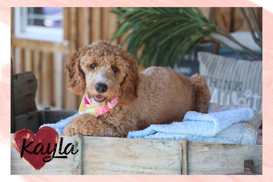 Kayla.jpeg