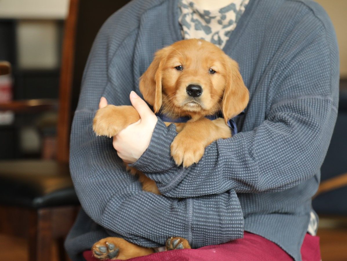 Hudson (4).JPG