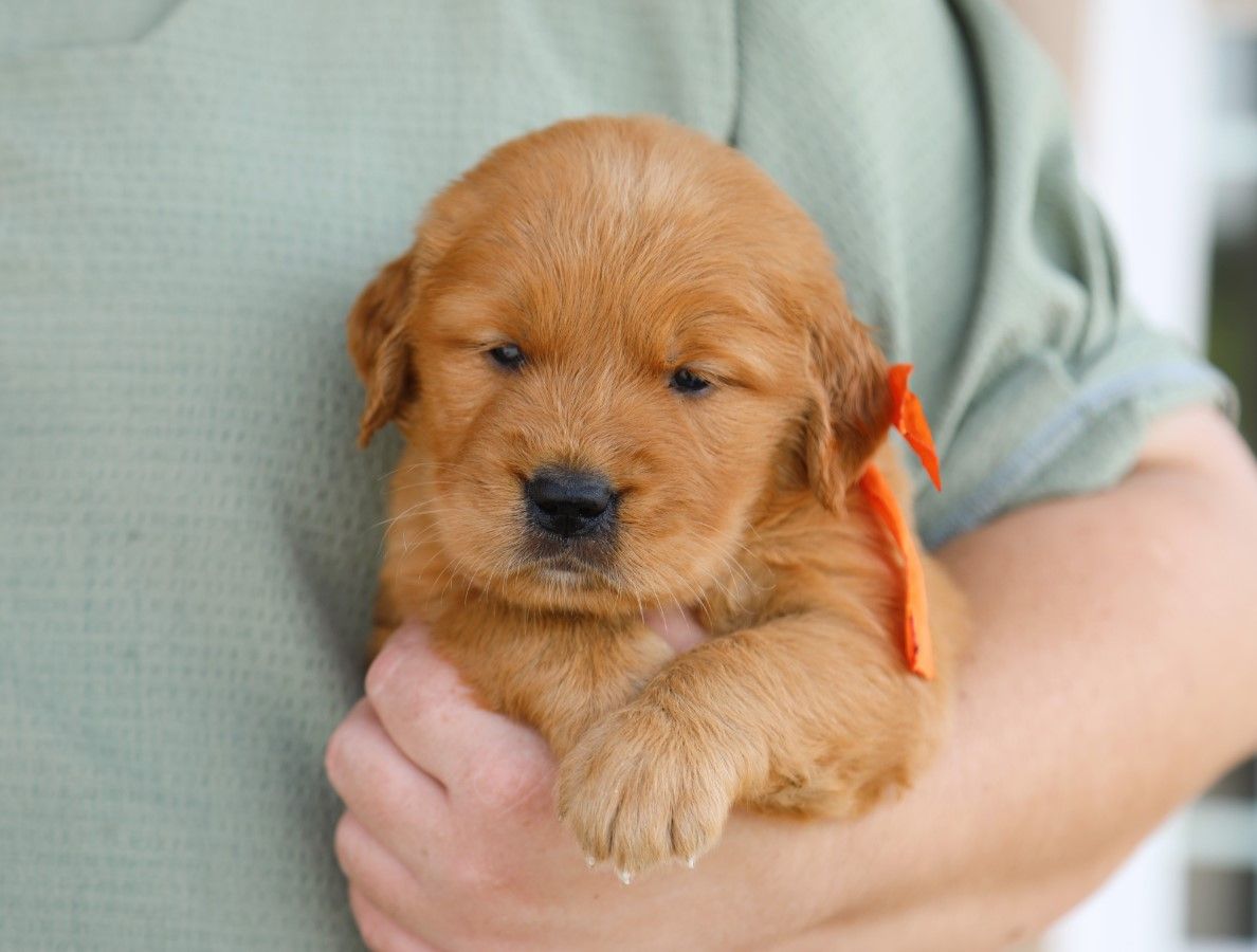 milo (2).JPG