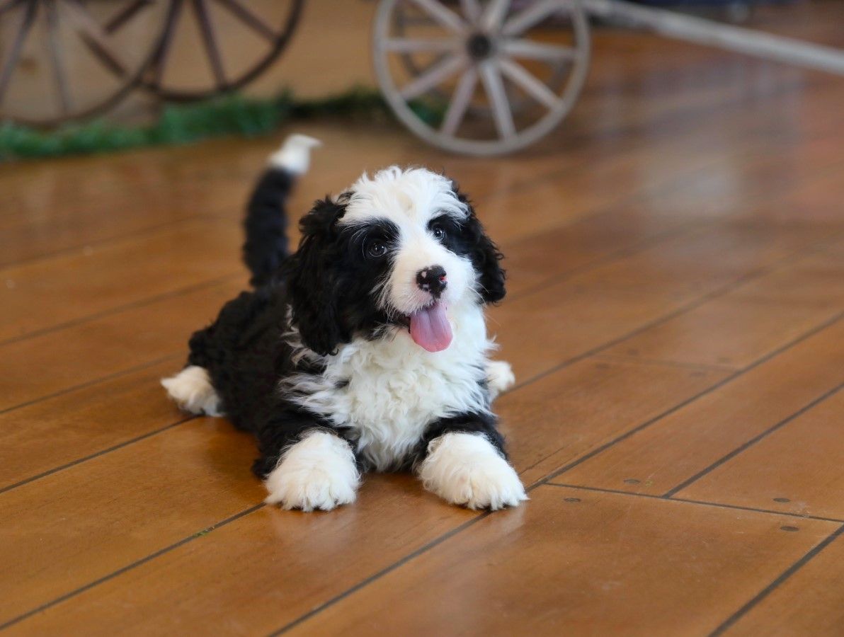  Mercy - Click to meet