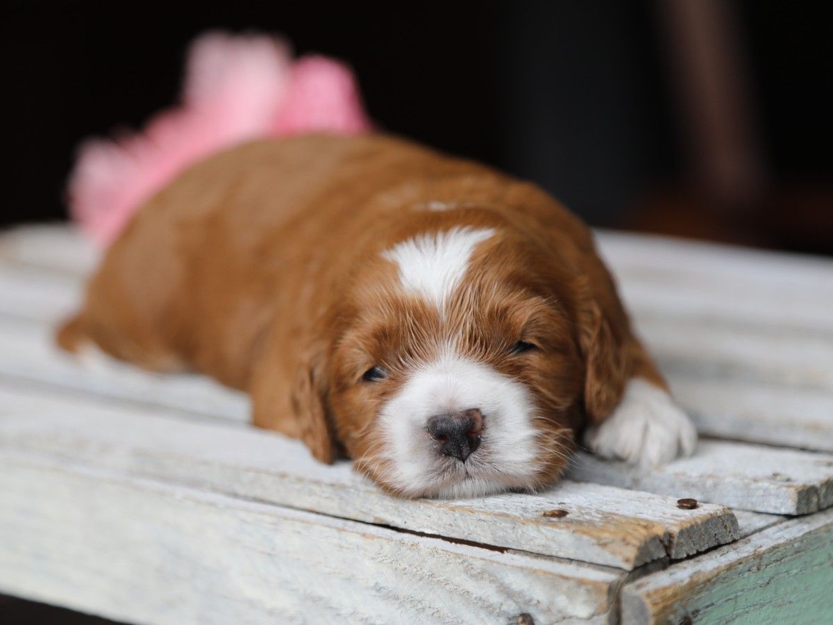 Summer • click to meet