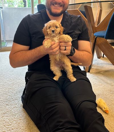 Irvine, CA CALLI • HOMED