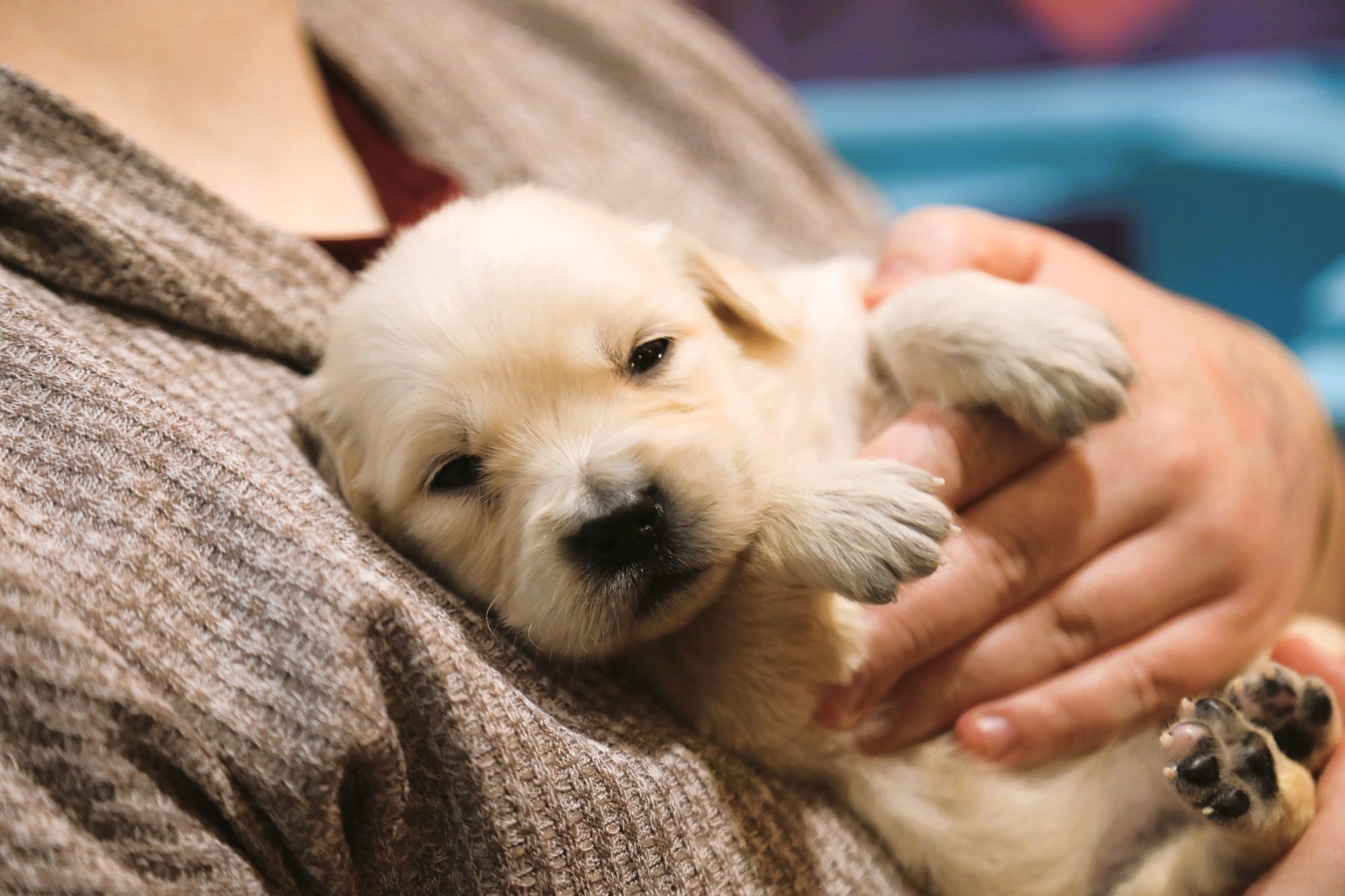 Erika  • Click to meet