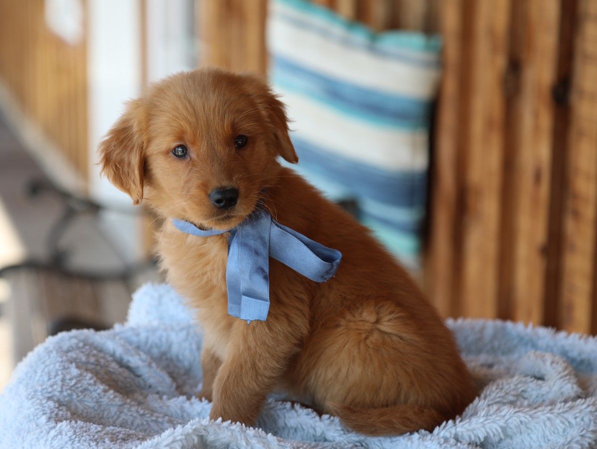  Booker - Click to meet