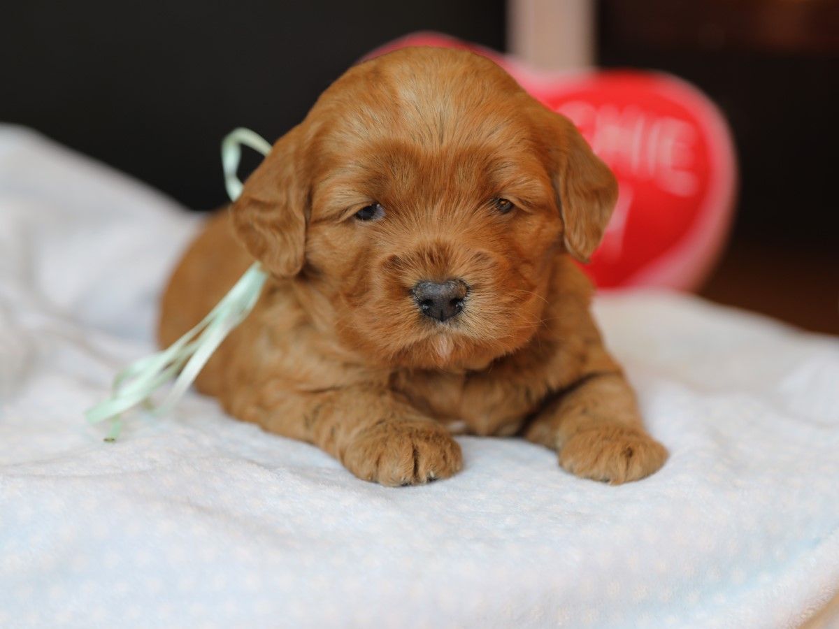 Winnie (3).JPG