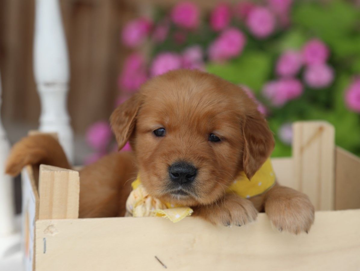 Avery • Click to meet