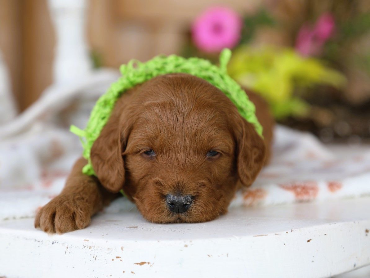 fred (3).JPG