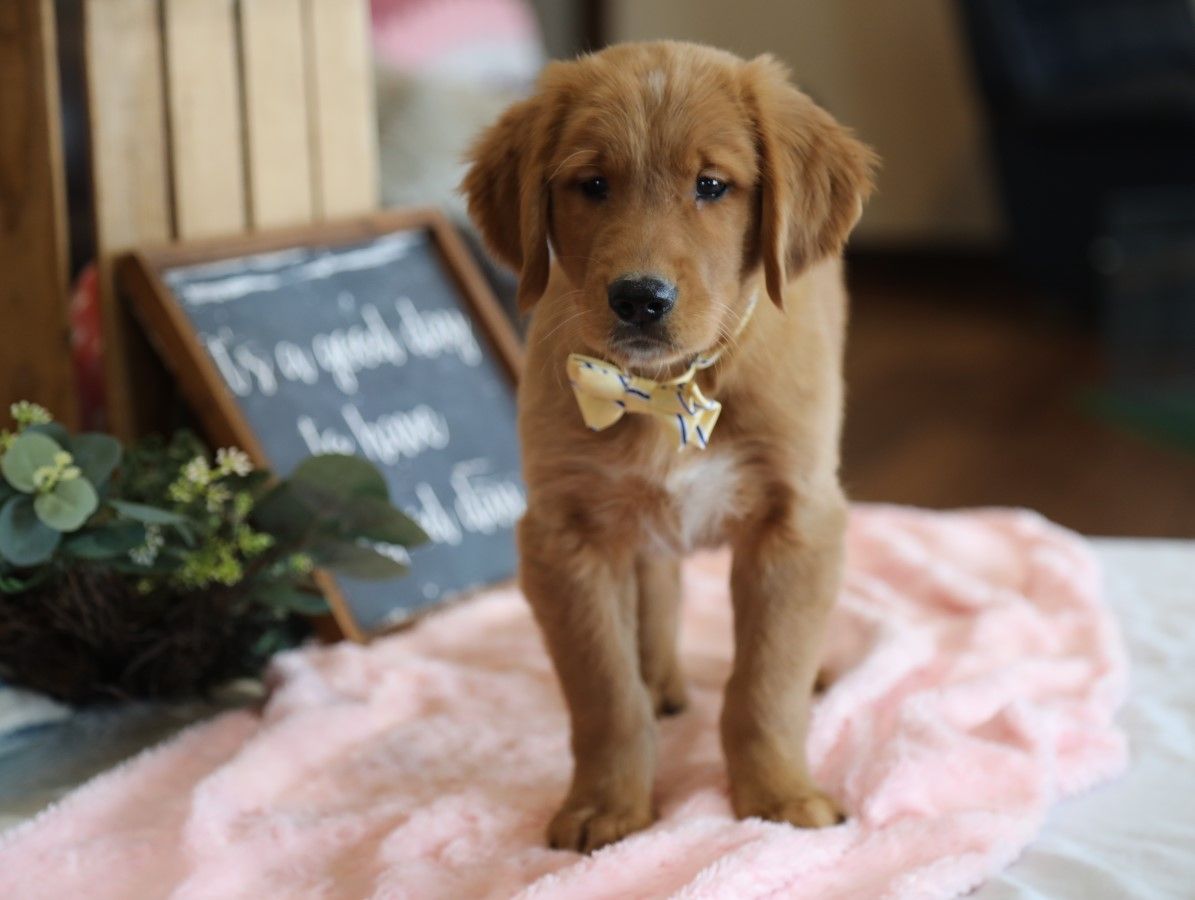  Everest - Click to meet