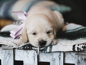 Beth • Click to meet