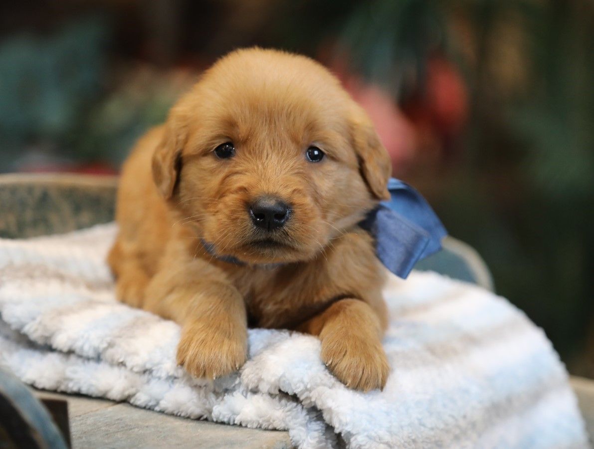 Booker - Click to meet