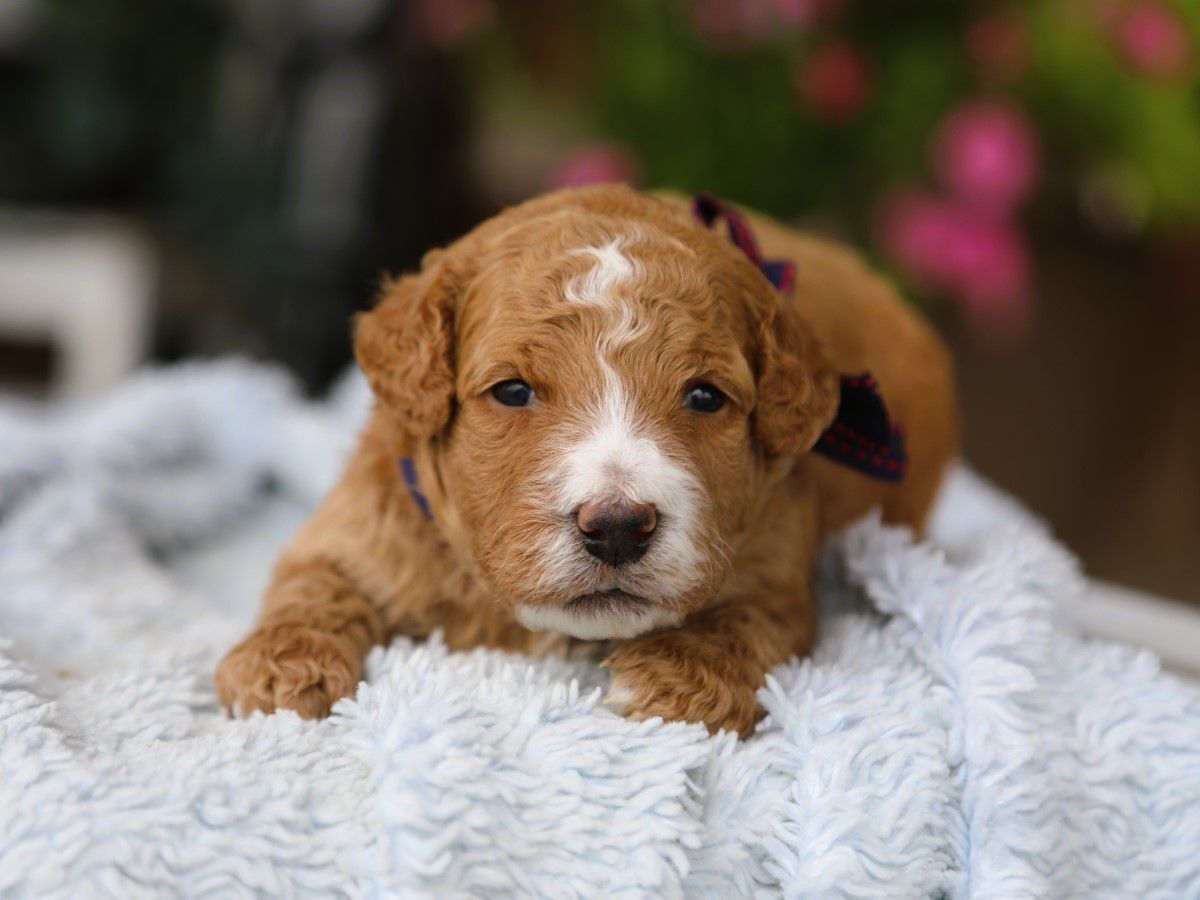 Mason (3).JPG