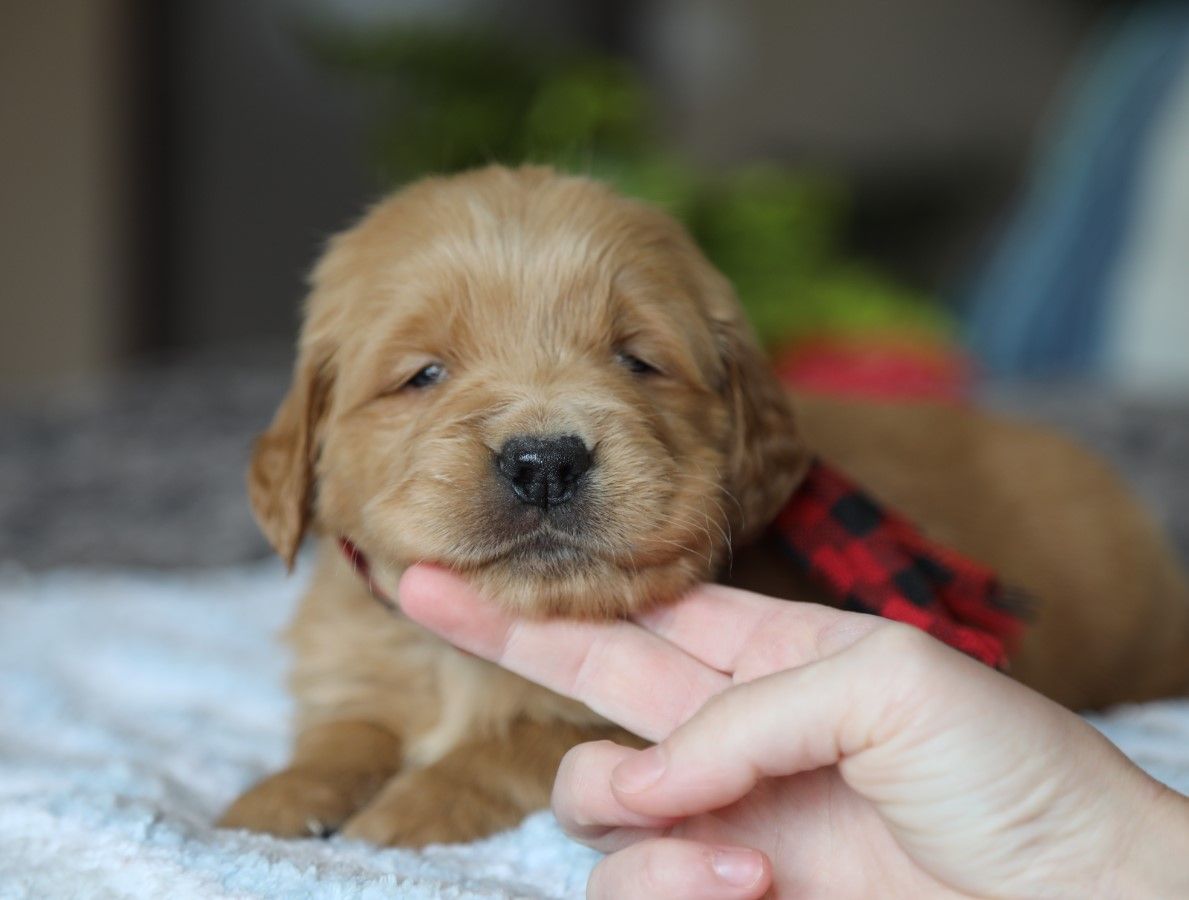 billy (4).JPG