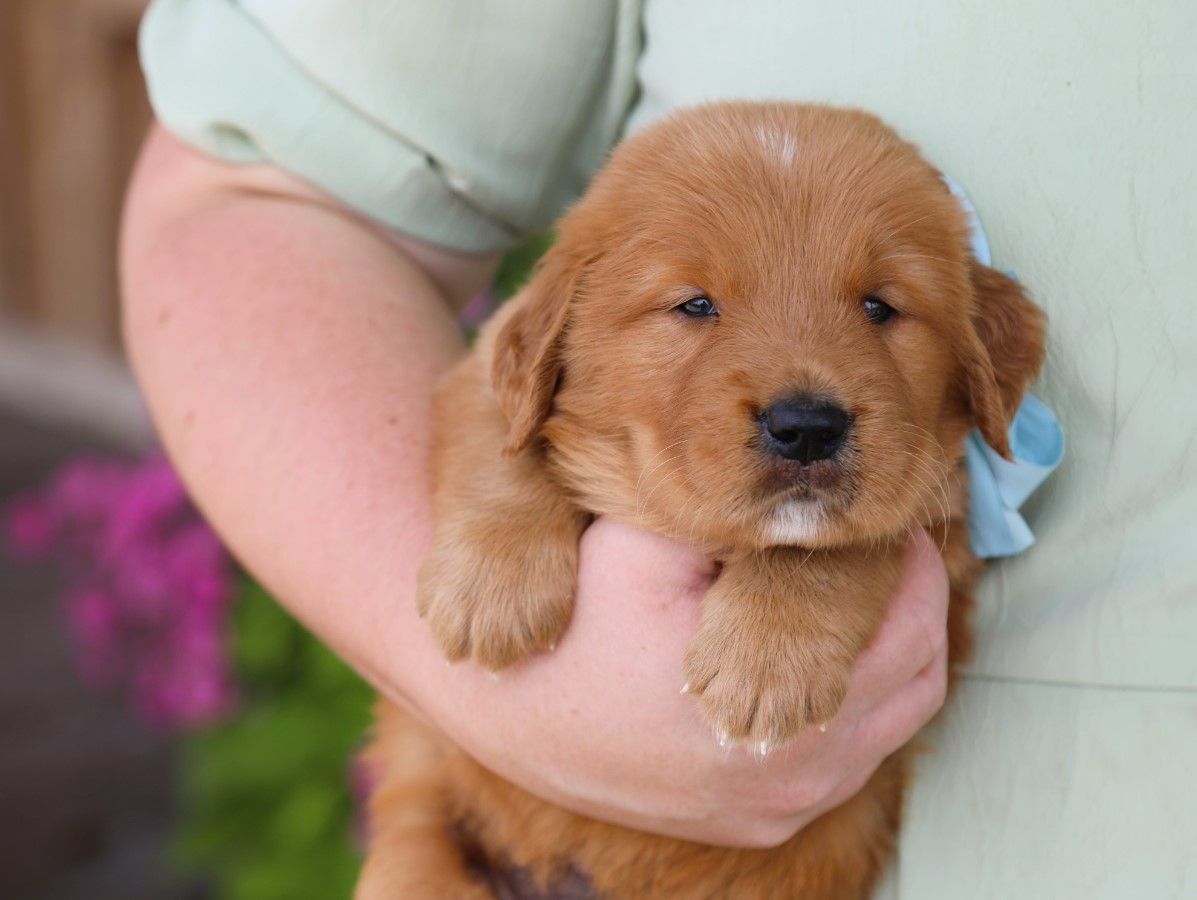 Obie • Click to meet