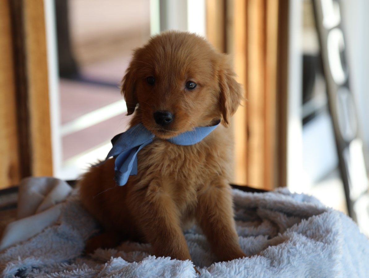 Booker (4).JPG