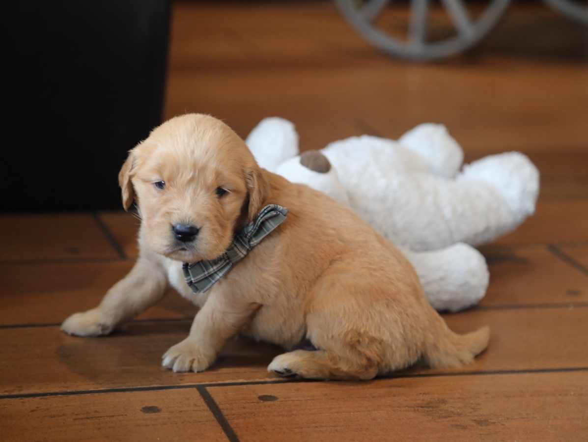 Ike - Click to meet