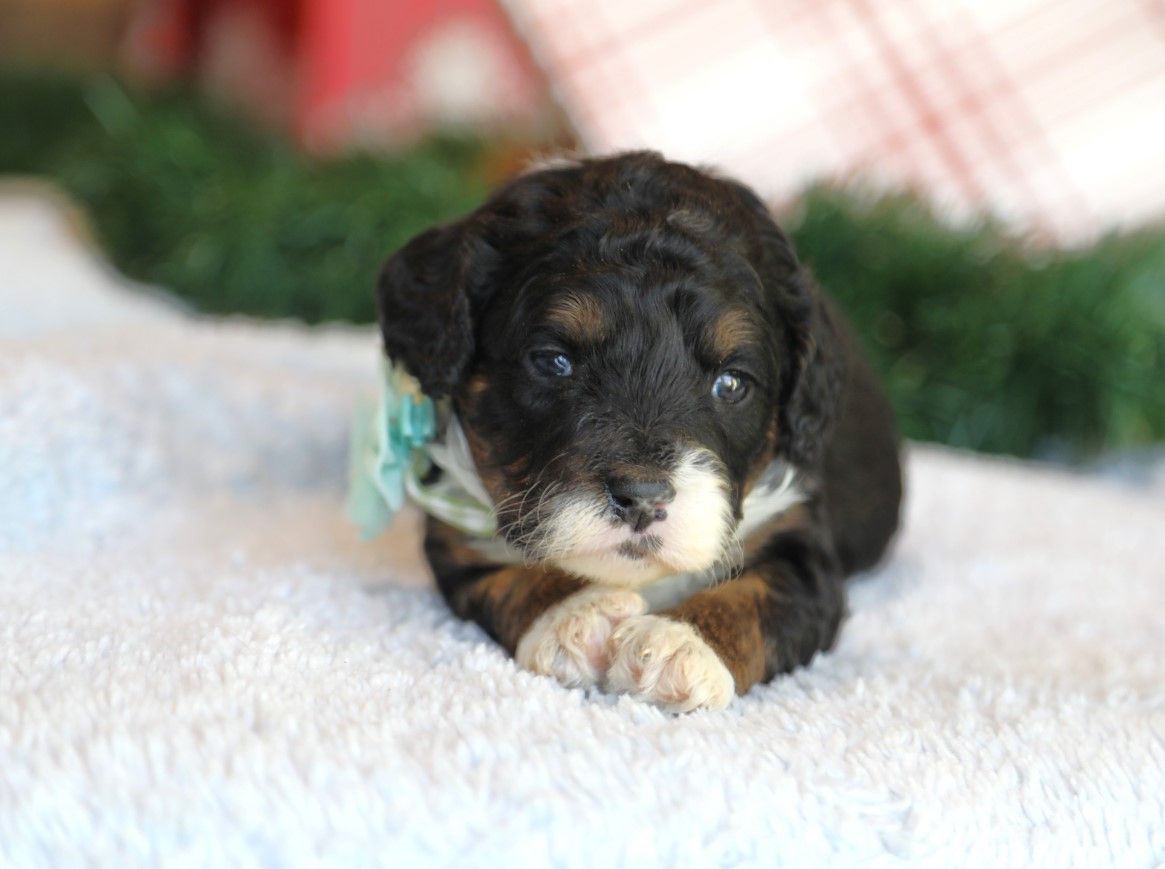 Tanya - click to meet