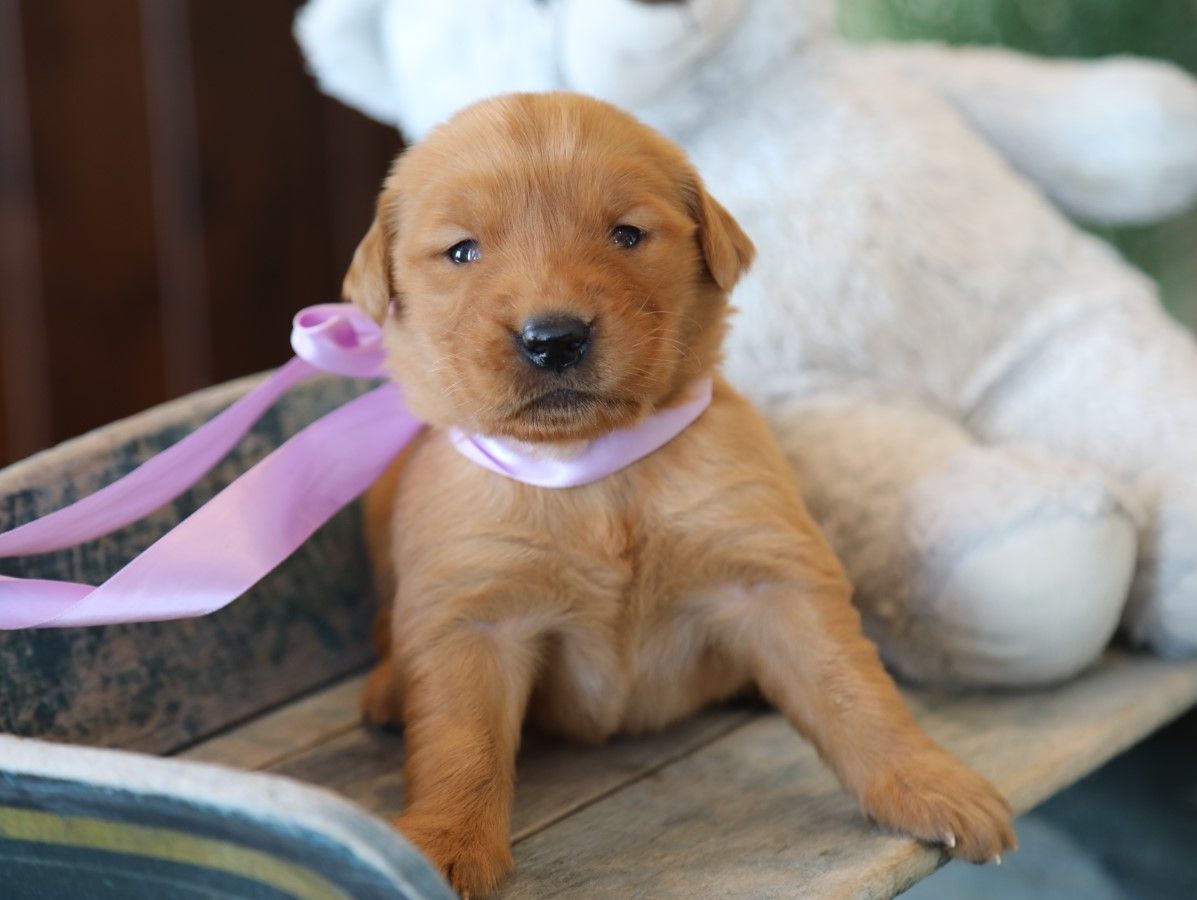 Blair - Click to meet