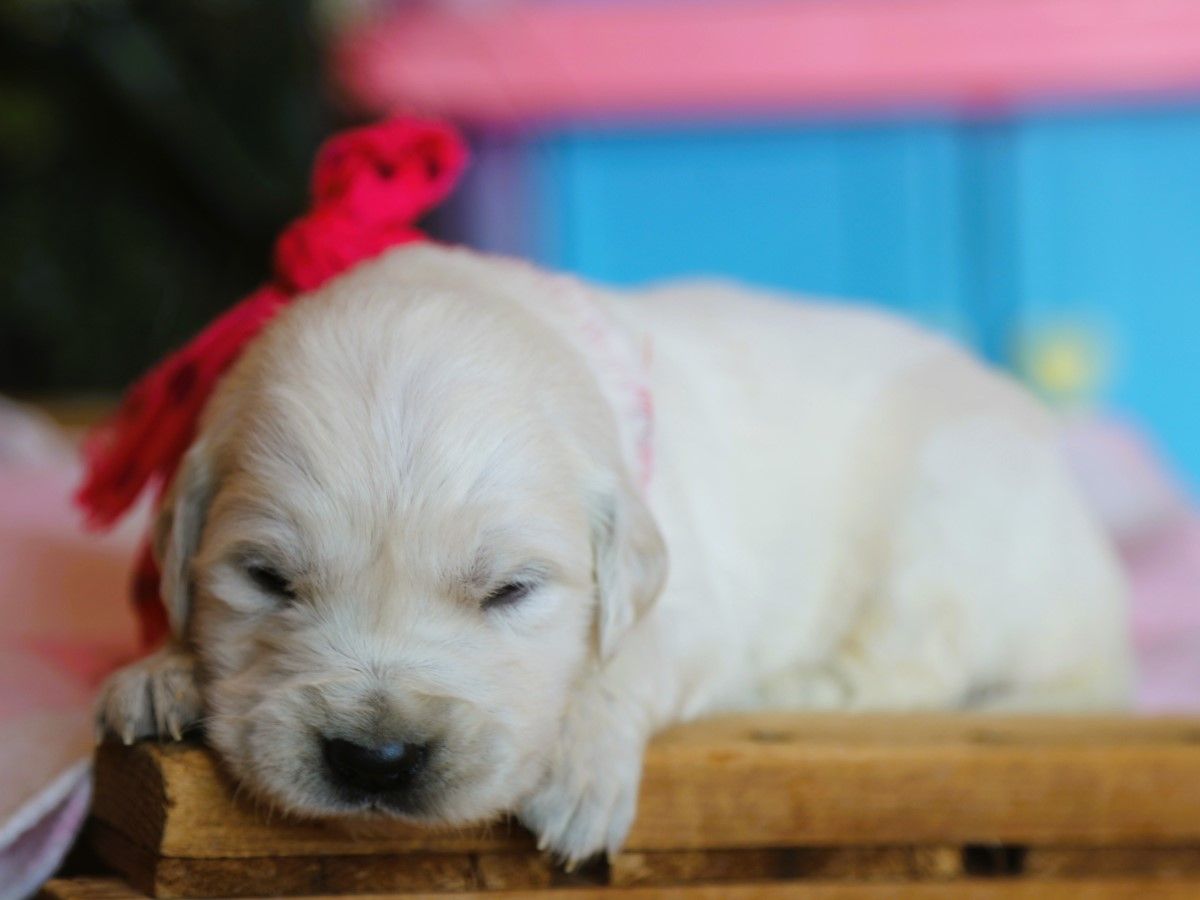 Trish • click to meet