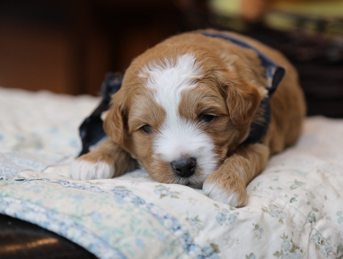 KYLE (4).JPG