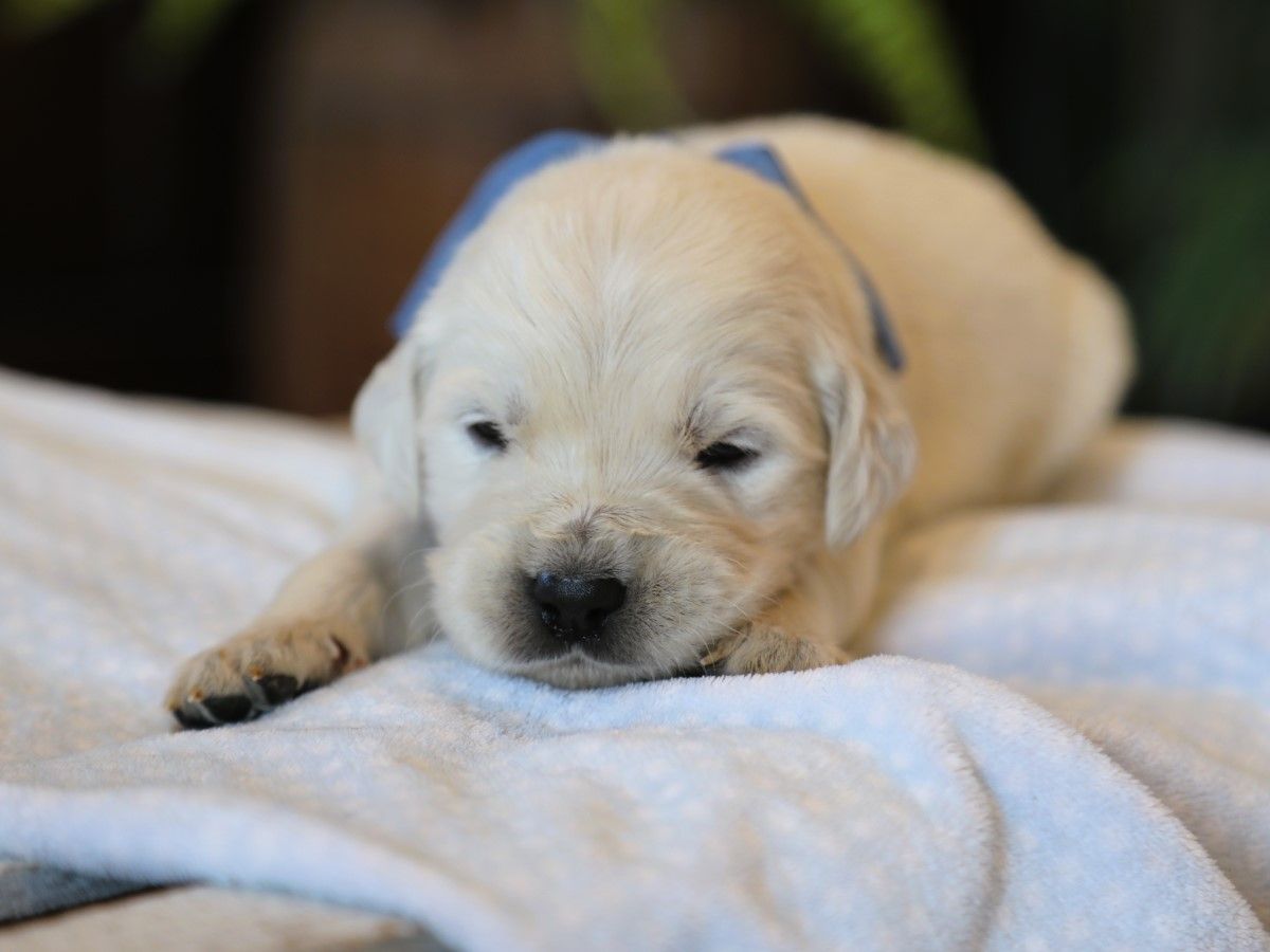 Denali (4).JPG
