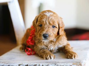  Happy • click to meet