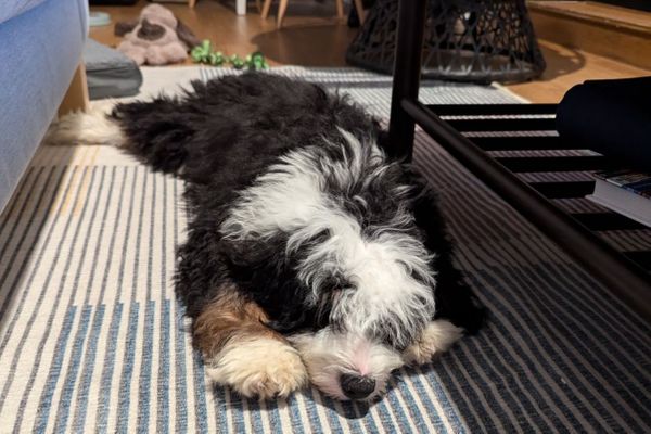 Arlington VA HOUSTON • HOMED