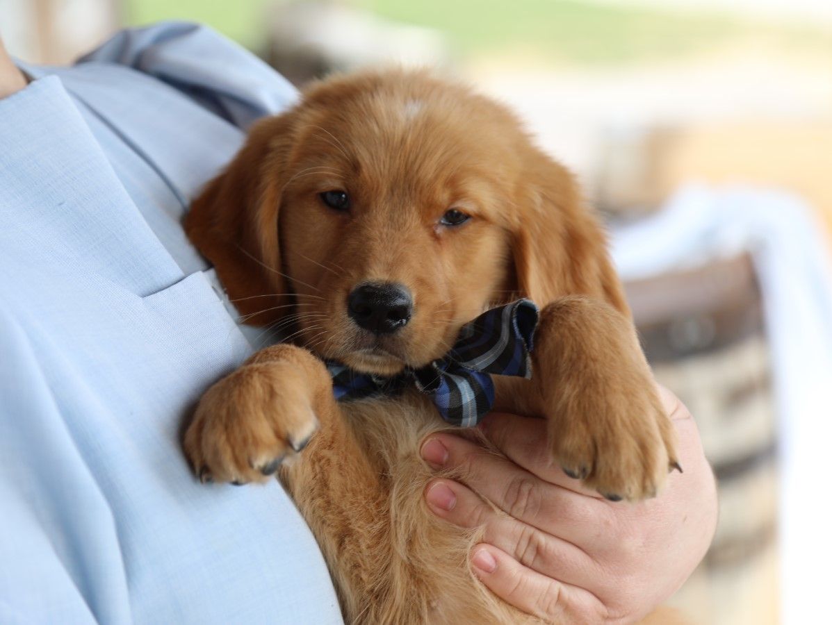 bruno (4).JPG