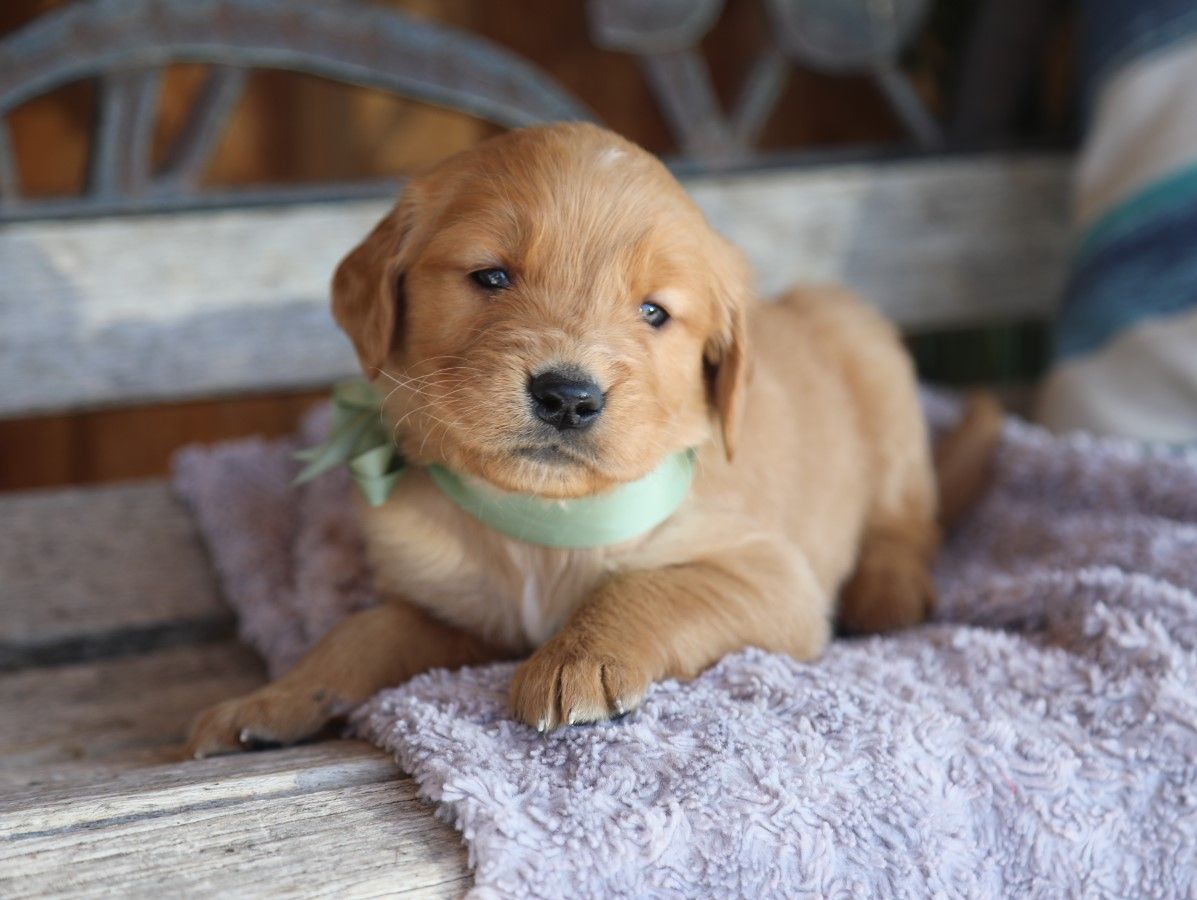 Bud - Click to meet