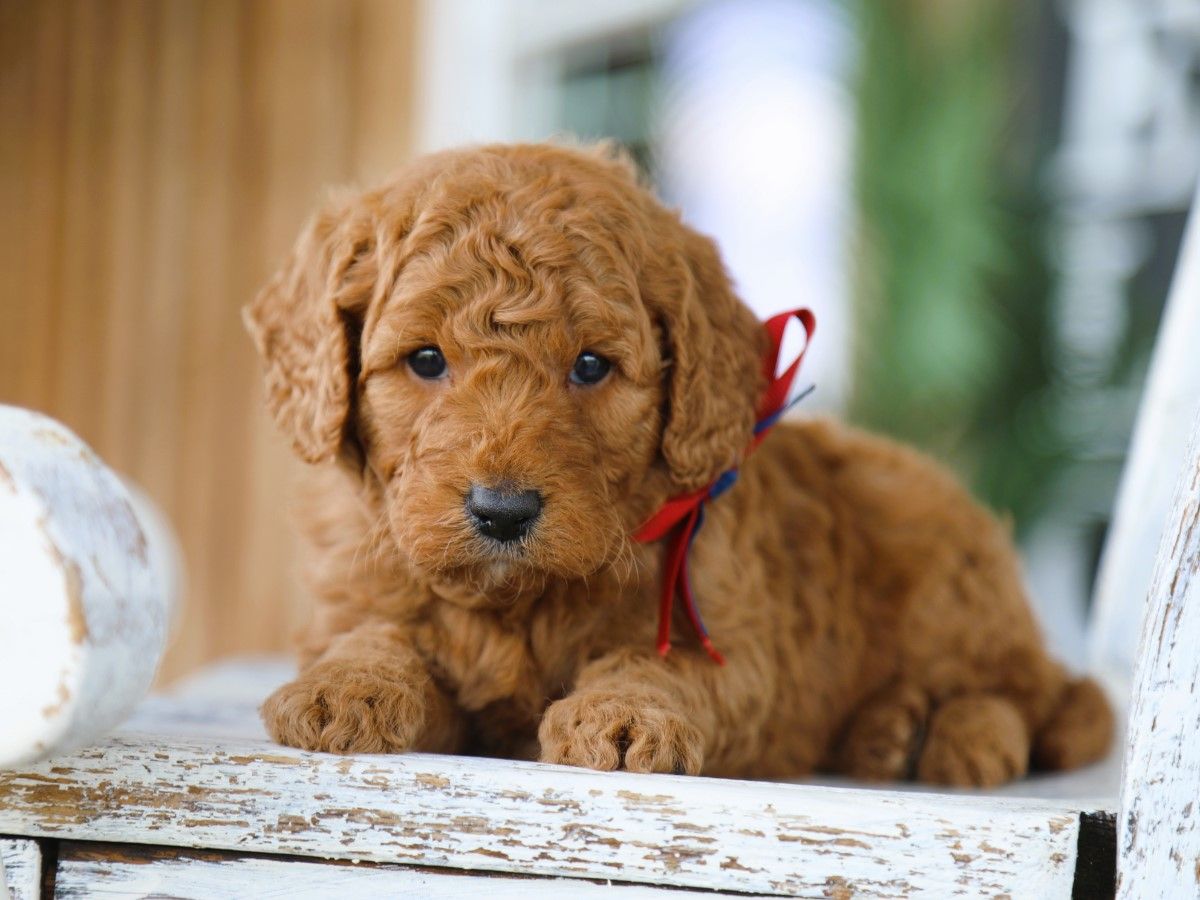 carter (4).JPG